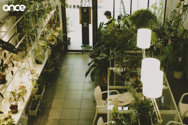 Plant Workshop Cafe in Ratchathewi Bangkok, plant-filled tiered interior